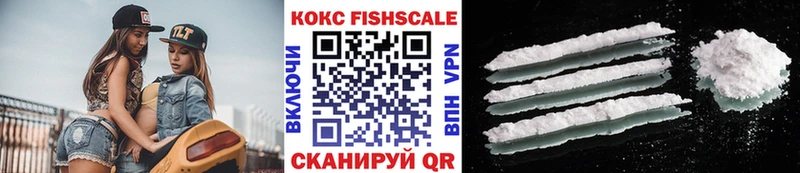 КОКАИН Fish Scale  Купить закладки  Дивногорск 