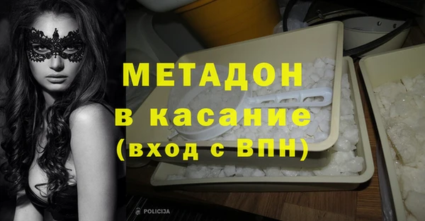 прущие грибы Бородино