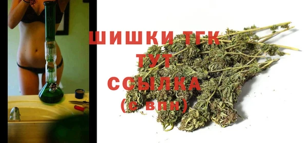 прущие грибы Бородино