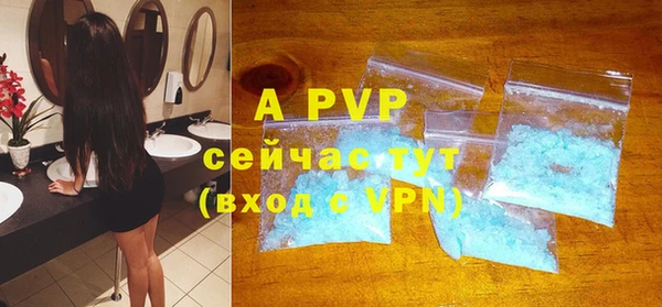 прущие грибы Бородино