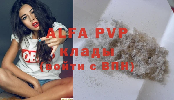 гидра Верхний Тагил