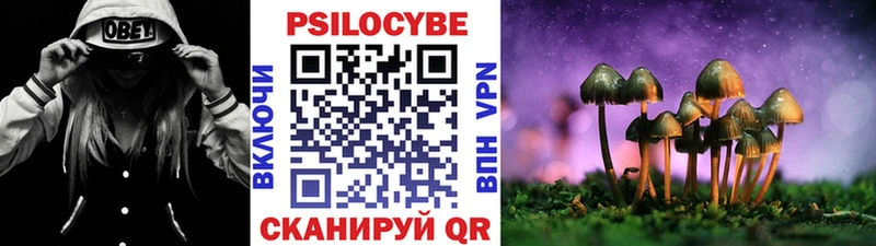 Купить закладки  Дивногорск  Галлюциногенные грибы MAGIC MUSHROOMS 